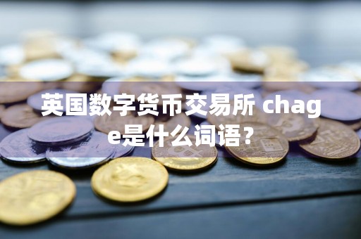 英国数字货币交易所 chage是什么词语？