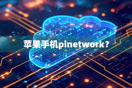 苹果手机pinetwork？