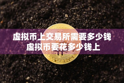 虚拟币上交易所需要多少钱 虚拟币要花多少钱上