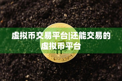 虚拟币交易平台|还能交易的虚拟币平台