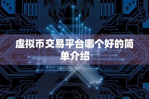虚拟币交易平台哪个好的简单介绍
