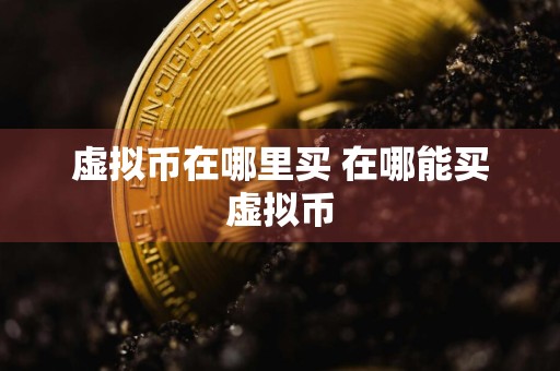 虚拟币在哪里买 在哪能买虚拟币