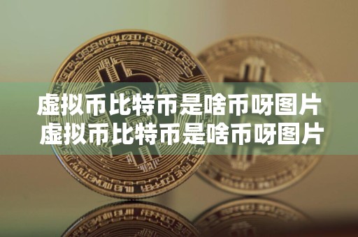 虚拟币比特币是啥币呀图片 虚拟币比特币是啥币呀图片及价格