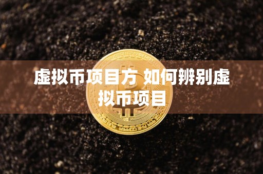 虚拟币项目方 如何辨别虚拟币项目