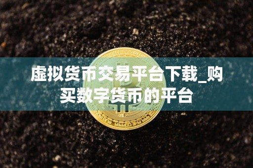 虚拟货币交易平台下载_购买数字货币的平台