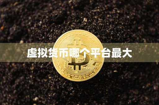 虚拟货币哪个平台最大