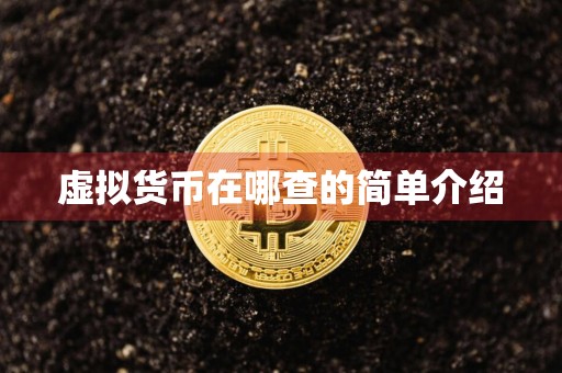 虚拟货币在哪查的简单介绍