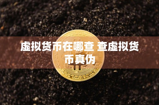 虚拟货币在哪查 查虚拟货币真伪