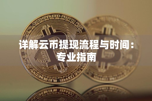 详解云币提现流程与时间：专业指南