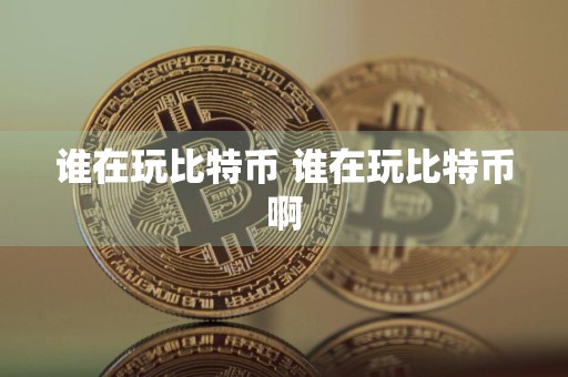 谁在玩比特币 谁在玩比特币啊