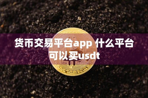 货币交易平台app 什么平台可以买usdt