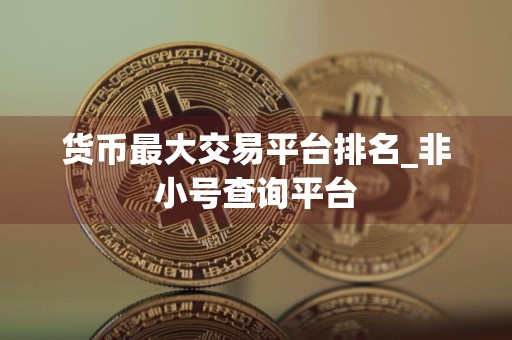 货币最大交易平台排名_非小号查询平台