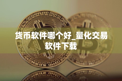 货币软件哪个好_量化交易软件下载