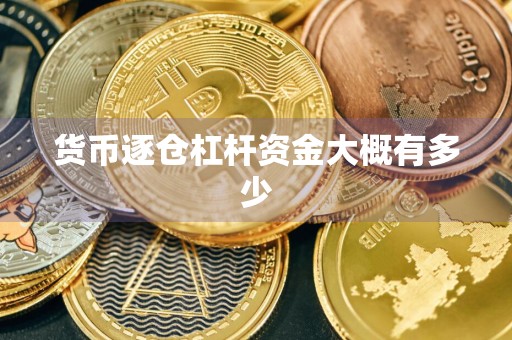 货币逐仓杠杆资金大概有多少