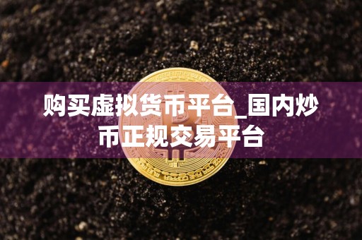 购买虚拟货币平台_国内炒币正规交易平台