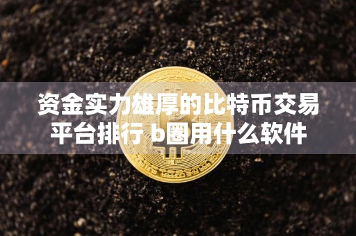 资金实力雄厚的比特币交易平台排行 b圈用什么软件