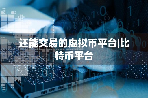 还能交易的虚拟币平台|比特币平台