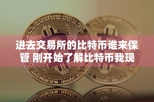 进去交易所的比特币谁来保管 刚开始了解比特币我现在要在哪个平台交易比较安全求大神推荐