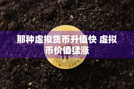 那种虚拟货币升值快 虚拟币价值猛涨