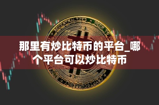 那里有炒比特币的平台_哪个平台可以炒比特币