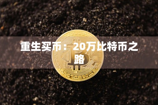 重生买币:20万比特币之路