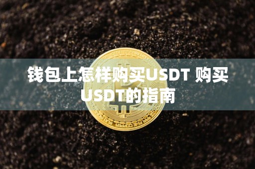钱包上怎样购买USDT 购买USDT的指南