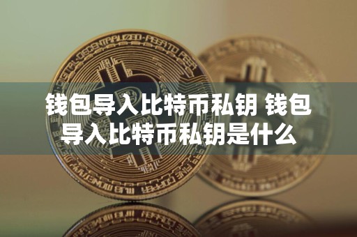钱包导入比特币私钥 钱包导入比特币私钥是什么