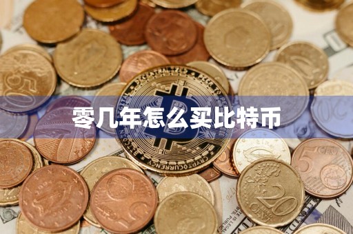 零几年怎么买比特币