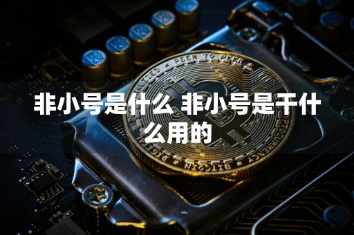 非小号是什么 非小号是干什么用的