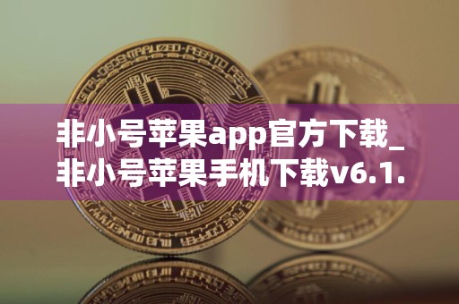 非小号苹果app官方下载_非小号苹果手机下载v6.1.9