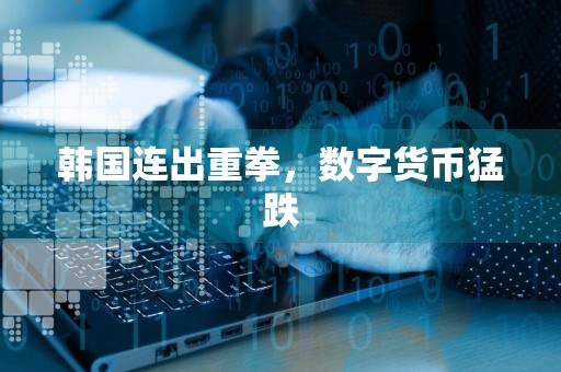 韩国连出重拳,数字货币猛跌