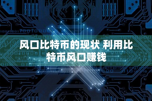 风口比特币的现状 利用比特币风口赚钱