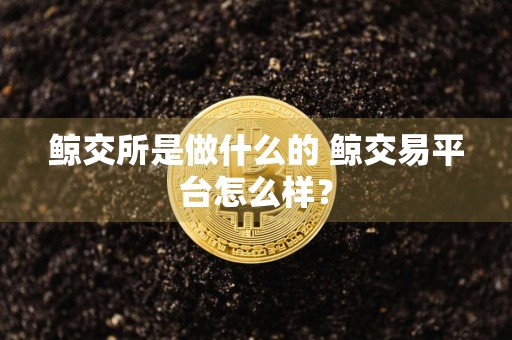 鲸交所是做什么的 鲸交易平台怎么样？