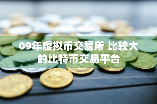 09年虚拟币交易所 比较大的比特币交易平台