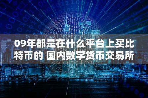 09年都是在什么平台上买比特币的 国内数字货币交易所