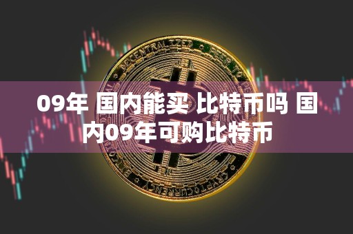 09年 国内能买 比特币吗 国内09年可购比特币