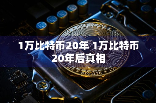 1万比特币20年 1万比特币20年后真相
