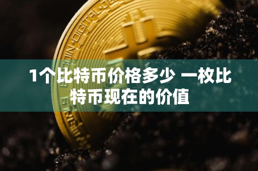 1个比特币价格多少 一枚比特币现在的价值