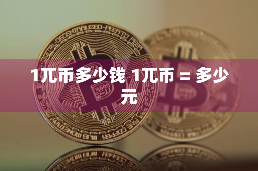 1兀币多少钱 1兀币 = 多少元