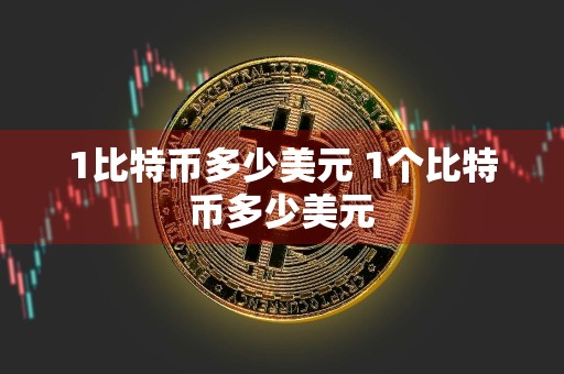 1比特币多少美元 1个比特币多少美元