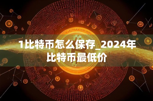 1比特币怎么保存_2024年比特币最低价