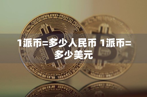 1派币=多少人民币 1派币=多少美元