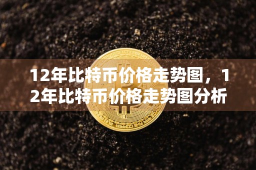 12年比特币价格走势图,12年比特币价格走势图分析