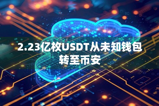 2.23亿枚USDT从未知钱包转至币安