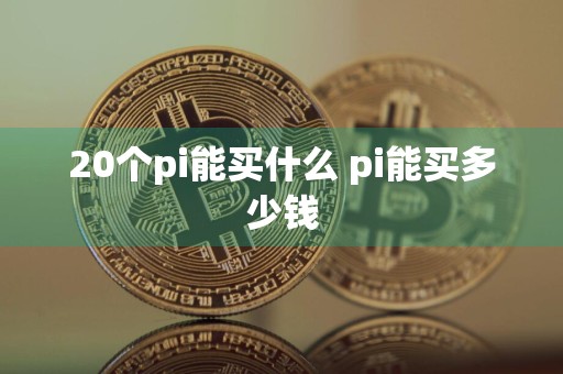 20个pi能买什么 pi能买多少钱