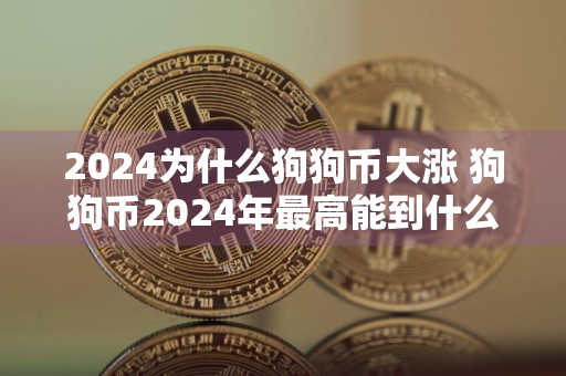 2024为什么狗狗币大涨 狗狗币2024年最高能到什么价