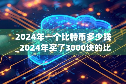 2024年一个比特币多少钱_2024年买了3000块的比特币