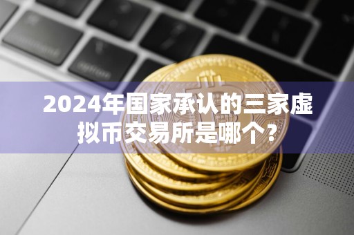 2024年国家承认的三家虚拟币交易所是哪个？