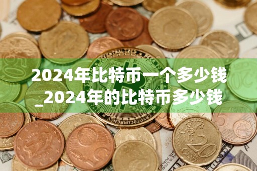 2024年比特币一个多少钱_2024年的比特币多少钱