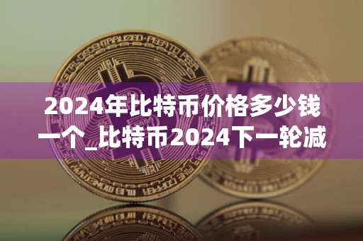 2024年比特币价格多少钱一个_比特币2024下一轮减半